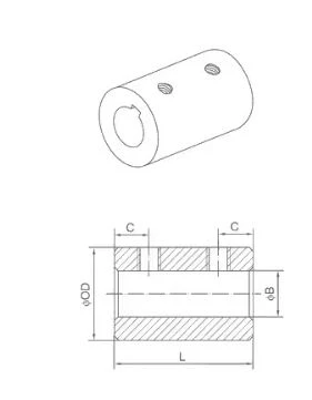 NSPT CS-Couplings NSPT CS-Couplings